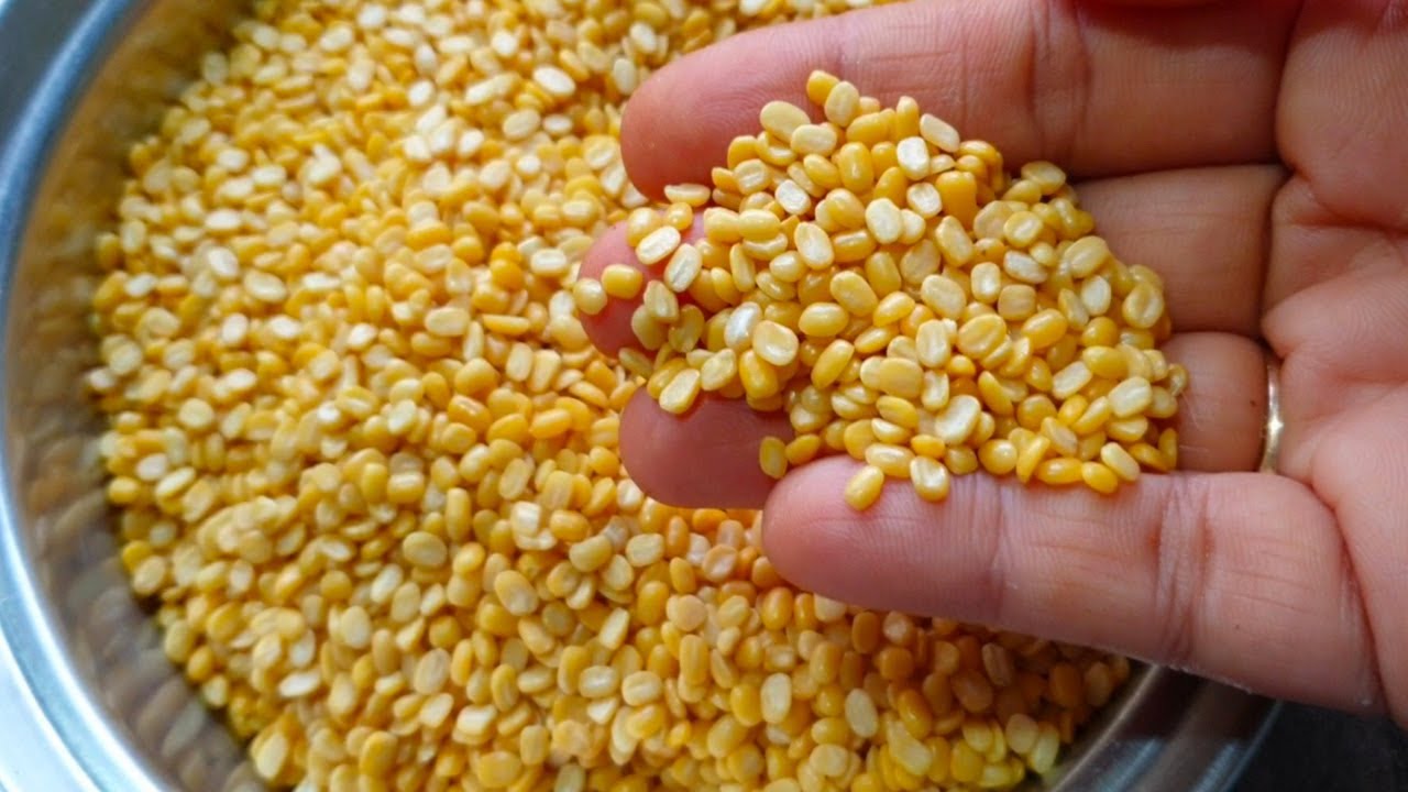 ದೇಹಕ್ಕೆ ತಂಪು ಹೆಸರುಬೇಳೆಯಿಂದ 5 ರೀತಿಯ ಬೆಳಗಿನ ತಿಂಡಿ/5 Types of Hesarubele Breakfast Recipes