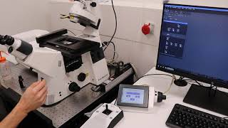 Bioimaging - Laser Scanning Confocal Microscope (LSM800)