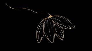 BROWN LEAF VECTOR 10 (Compositing Videos Alpha)