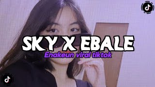 Dj Sky X Bale-Bale Viral Tiktok