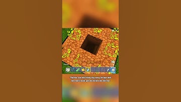 MẸO HAY P.15: Cách giúp cây nhanh lớn trong Mini World! #miniworldvatoi #miniworldvn #miniworld #TTN