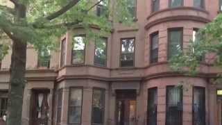 Two Bedroom  Apartment Rental in Bed Stuy Brooklyn NY Near Nostrand Avenue