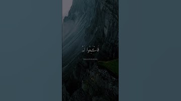 وَإِذَا قُرِئَ الْقُرْآنُ فَاسْتَمِعُوا لَهُ | محمد صديق المنشاوي | سورة الأعراف