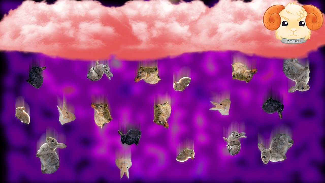 It is literally raining bunnies!? | Fluffy horde #2