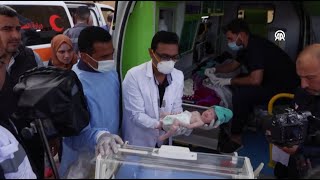 28 of 31 premature babies evacuated from Gaza arrive in Egypt