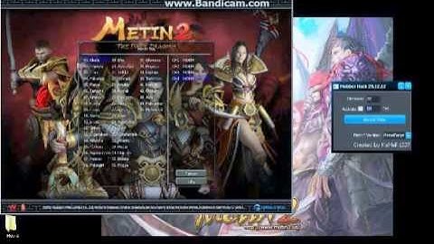 Metin 2 Mobber Hack 2014