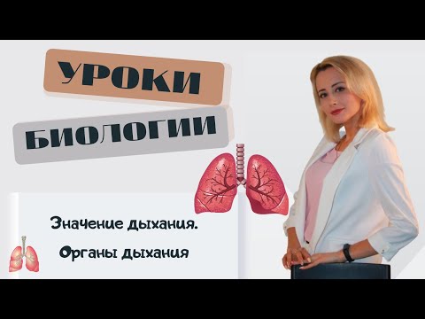 Значение дыхания  Органы дыхания