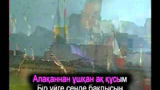 Алақаннан ұшқан аққуым,Kazakh Karaoke, Казахское караоке