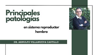 Principales patologías en sistema reproductor hembra - veterinaria -