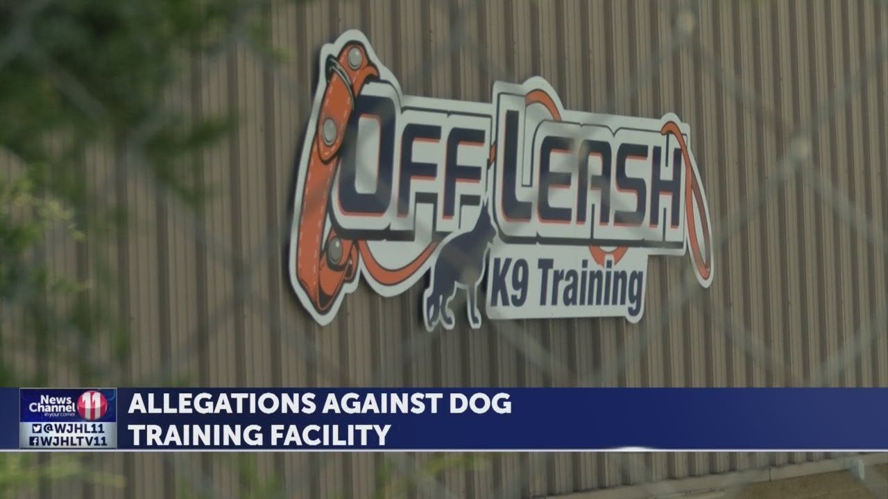 Knoxville woman shares similar allegations about Off Leash K9 Training Johnson City location