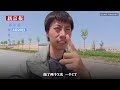 新京報|動畫梳理網紅小貓「悟空」之死丨重建現場Beijing News | Animated Breakdown of the Viral Kitten “Wukong”’s Death