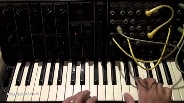 Korg MS-20 duophonic setting #korgms20