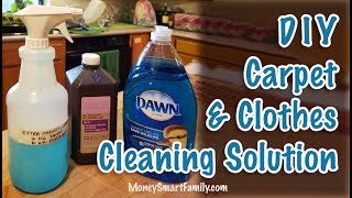 DIY Carpet Stain Remover & DIY Clothing Spot Remover  Peroxide & Dawn