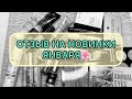 Отзыв на новинки января! || личное мнение || новинки бюджетной косметики🌸