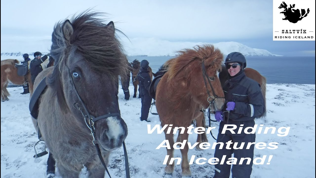 Iceland Riding Adventures In Winter!