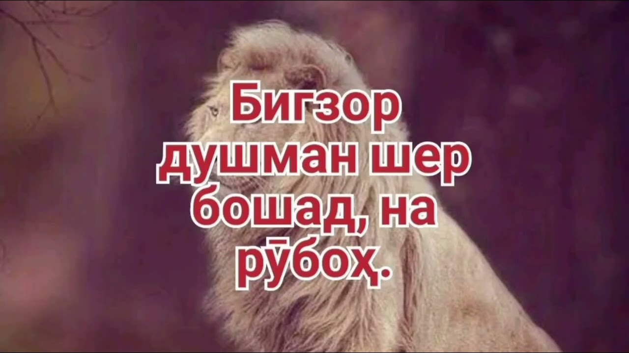 ЗАРБУЛМАСАЛУ МАҚОЛҲО (11_20) Abdusalom Abdulloh 4 января 2024 г.