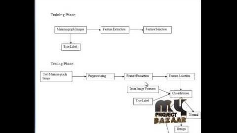 Final Year Projects  | Computer-Aided Breast Cancer Detection Using Mammograms: A Review