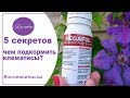 🌺 Запомните! 5 моих секретов удобрения клематисов - чем подкормить клематисы