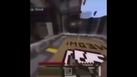 The Hive Just Build Experience