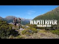 Fiordland Wapiti Hunting Adventure 2024
