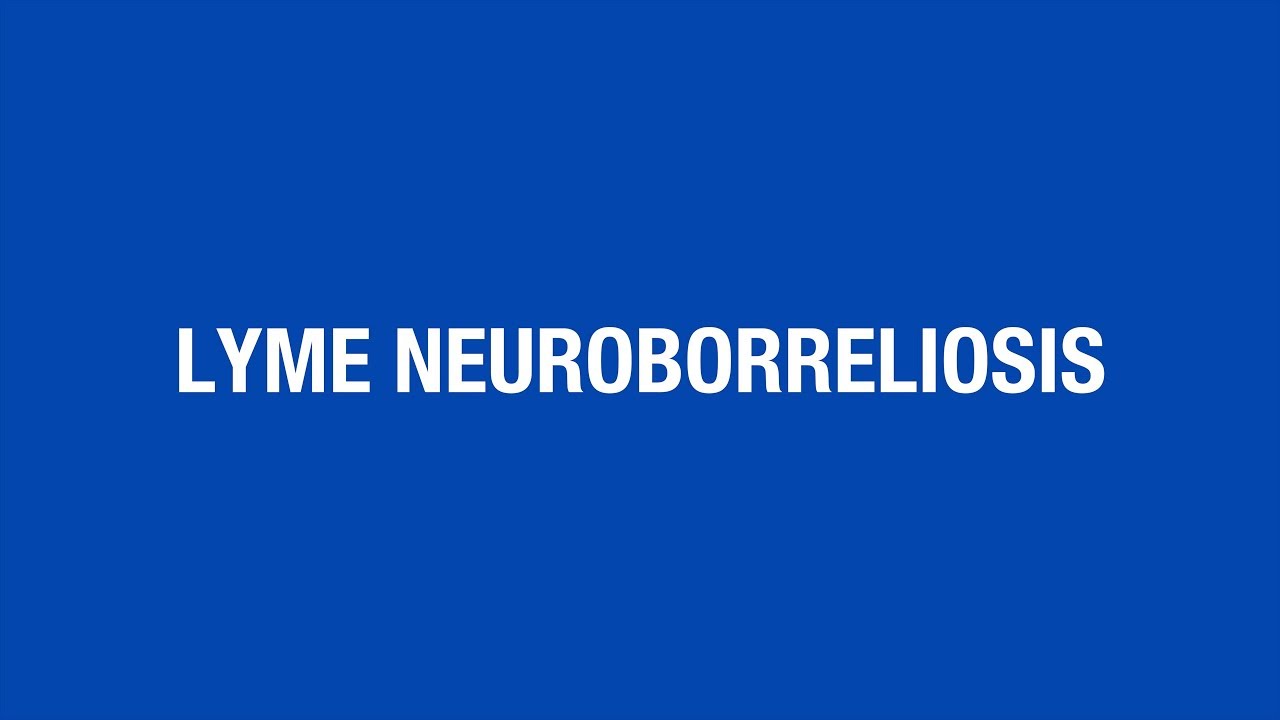 Lyme Neuroborreliosis [Hot Topic]