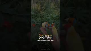 KUASA ILAHI ROBBI