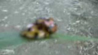 Download Lagu sex.3gp MP3