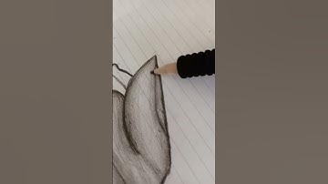 Drawing a Realistic Tulip | Dull style | Inspired by @Artcoaster. | 😊⚘️🌷☻️