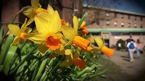 Newcastle University In Spring