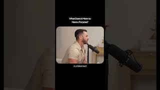 What Does It Mean to Have a Purpose