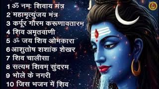 सोमवार भक्ति भजन - आशुतोष शशाँक शेखर, कर्पूर गौरम करुणावतारं, ॐ नमः शिवाय,  शिव अमृतवाणी व शिव आरती