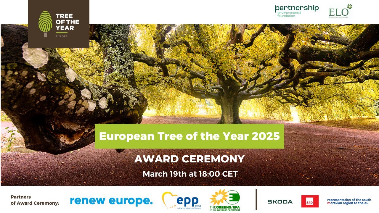 European Tree of the Year 2025 Award Ceremony – 19. 03. 2025 - YouTube