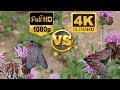 Full HD 1080p vs. 4K Ultra HD - Sample Test Video - Side by Side Comparison - Karşılaştırma