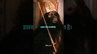 जमवत ज क खफ