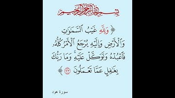 سورة هود أيت نمبر 123 تلاوت قران كريم سعد أيوب #تلاوات #قرآن #سعد
