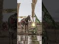 yea Allah imam Hussain Karbala history#yaali