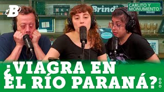 LA TERRORÍFICA HISTORIA DE CENICIENTA Y LOS DDHH HOY | #CARLITOYMONUMENTO 16/12