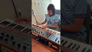 Synth Interlude on the Sequential Circuits prophet-5 rev 3