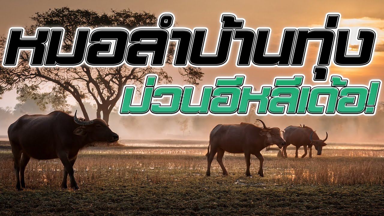 หมอลำบ้านทุ่ง ม่วนอีหลีเด้อ!