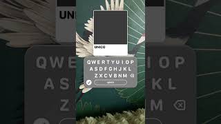 Erika And The Unicorns You They Were Such Pretty Colours 𓆉