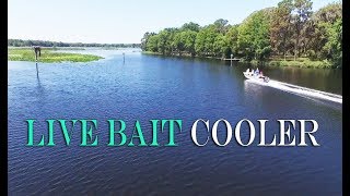 Live Bait Aeration Cooler Test, Engel Dry Box With Air Pump Minnow Cooler Review