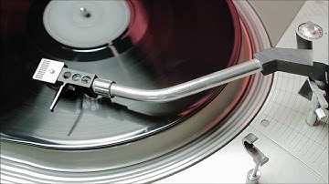 PURRR - Withot U (Official Music Video) HD