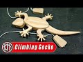 How to make wooden lizard climbing on the wall - free plans scroll saw patterns