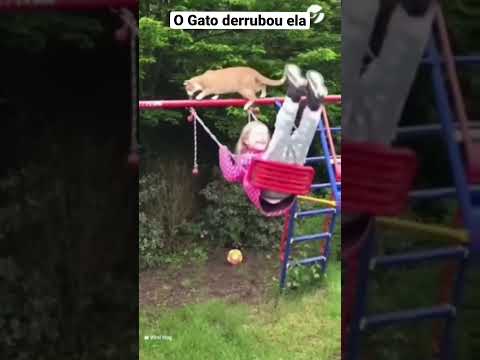 Vídeo: Evento da Malásia “Quero tocar um cachorro” Um sucesso surpresa