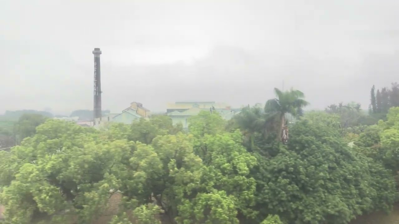 高雄捷運巡禮/左營（台鐵新左營/高鐵左營）—岡山（台鐵岡山站）/地面高架段