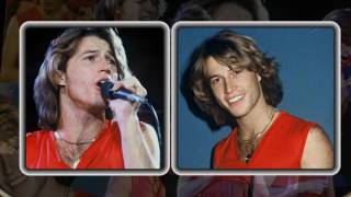 ANDY GIBB GOOD FEELING