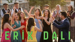 Erik Dalı Gevrektir Anadolu Halayı, Enerjik Oyun Havası Anatolyra Rhythms 4K