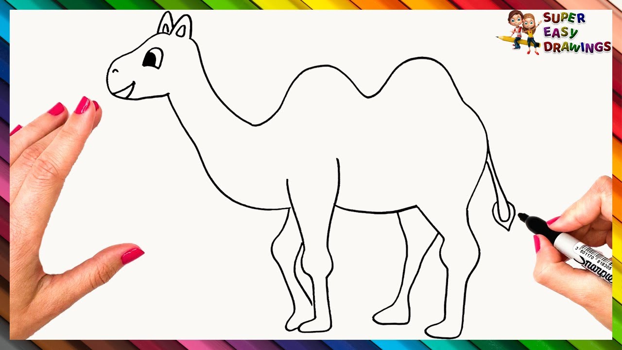 How To Draw A Camel Step By Step  Camel Drawing Easy - YouTube