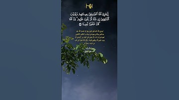 القارئ :أحمد جليل مولوي #قرآن #تلاوات