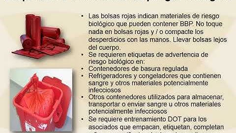 SSC Bloodbourne Pathogen Training - Spanish